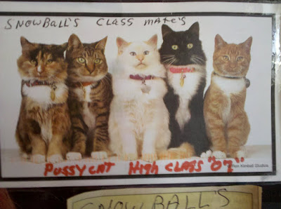 Snowball's Classmates - Pussycat High 07