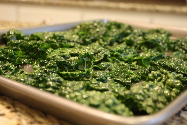 Kale chips 026