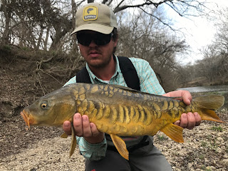 Ben Patrick, Jim Gray, Mirror Carp, Mirror Carp on the Fly, Fly Fishing for Mirror Carp, Pat Kellner, Texas Freshwater Fly Fishing, TFFF, Fly Fishing Texas, Texas Fly Fishing, Smallmouth Buffalo, Buffalo on the fly, fly fishing for buffalo, what are carp, carp in texas, texas carp fishing, carp on the fly