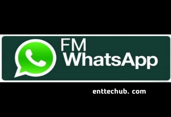 FM Whatsapp Apk Latest Version