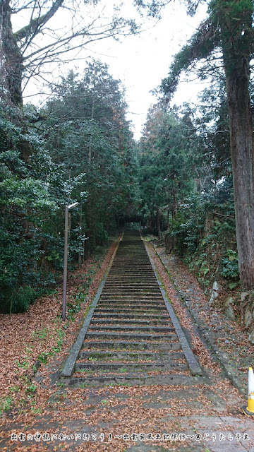 富田八幡宮　参道階段