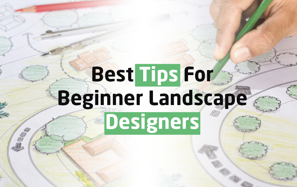 Best Tips For Beginner Landscape Designers