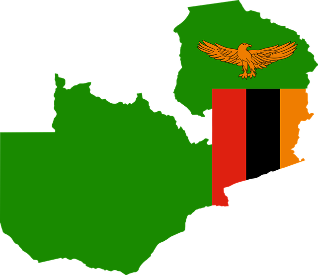 Profil informasi negara Zambia