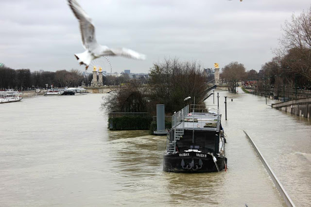 Crue Seine 2018 Paris inondations