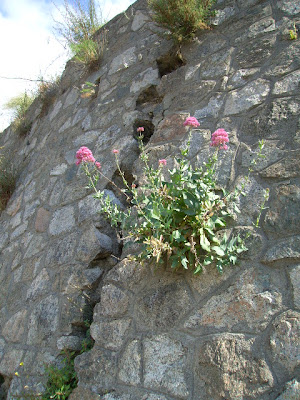 earthquake damage, calabria, southern italy