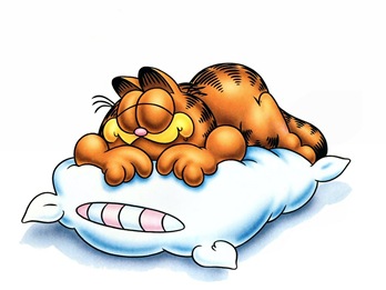 Garfield_durmiendo