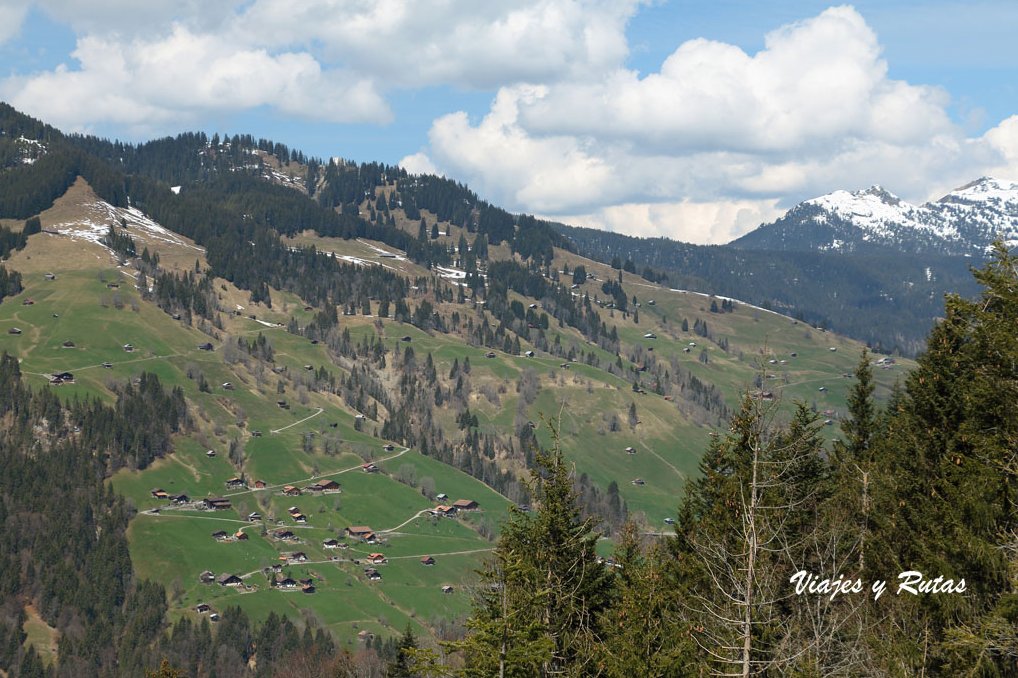 Carreteras de Suiza