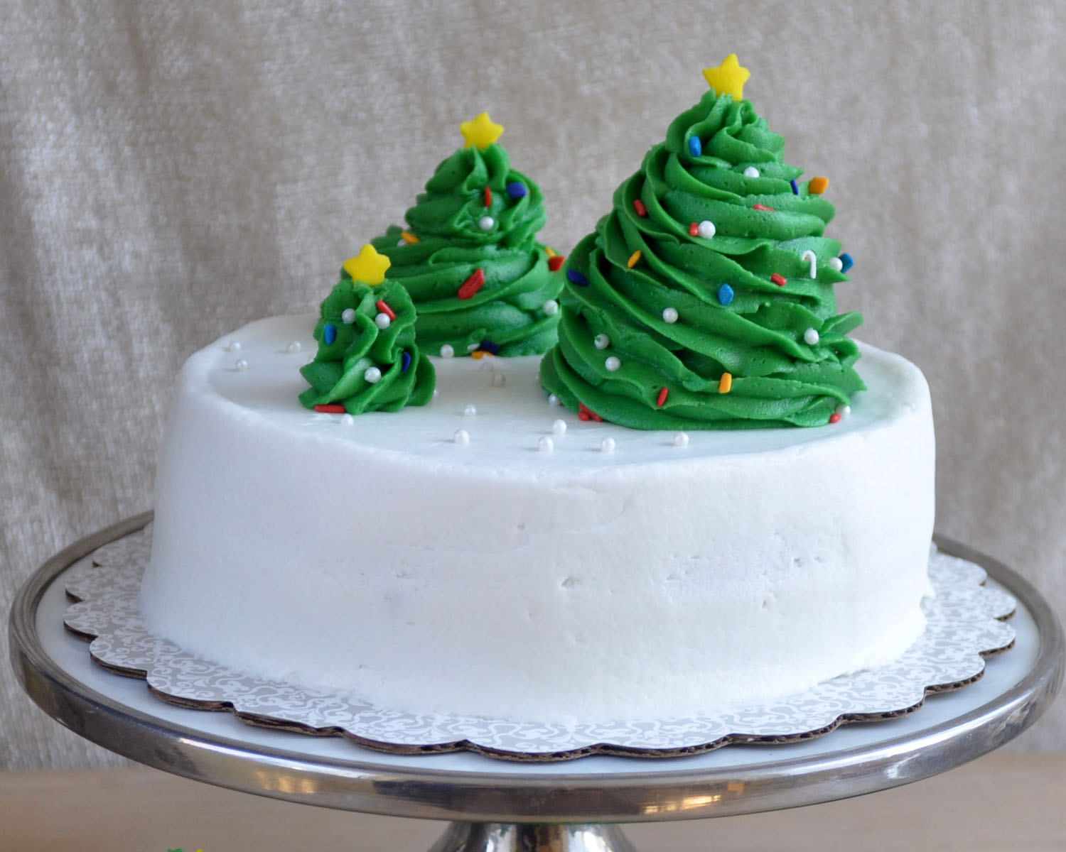 Cute & EASY Christmas Cake!