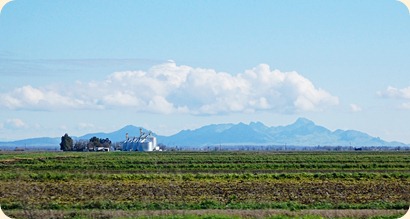 DSC_0730