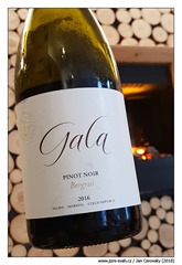 gala-pinot-noir-bergrus-2016