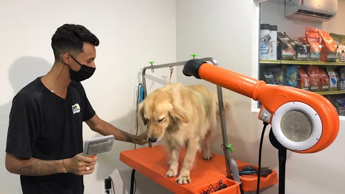 Paraibano viraliza dançando com cachorro em pet shop no Eusébio: "encontrei um novo sonho