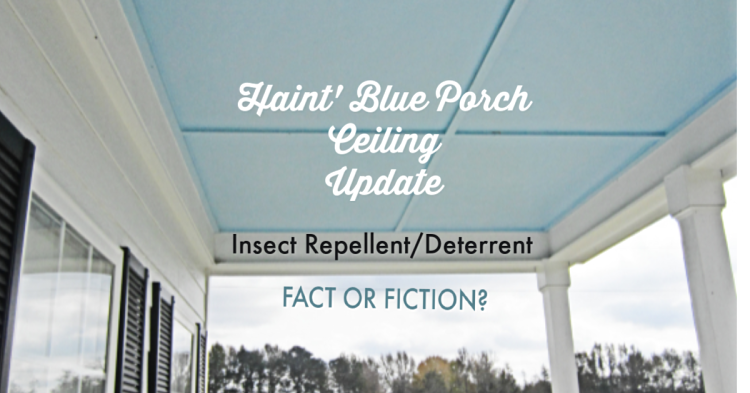 Haint Blue Porch Ceiling