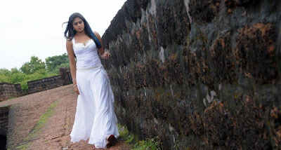 Actress Priyamani Hot High Resolution Latest Wallpaper Photos