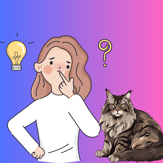 Two mistakes that a Maine Coon purchaser should avoid