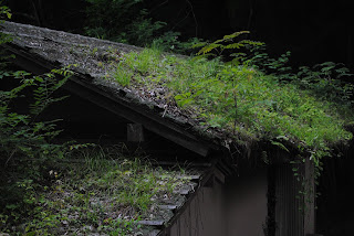 芭蕉の里くろばね紫陽花まつり2012