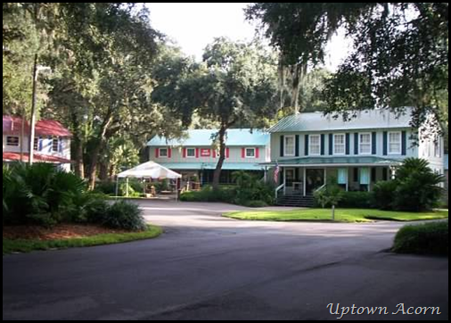 palmetto walk 2