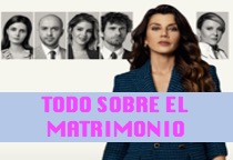 Ver Serie Todo Sobre El Matrimonio Capítulos Completos