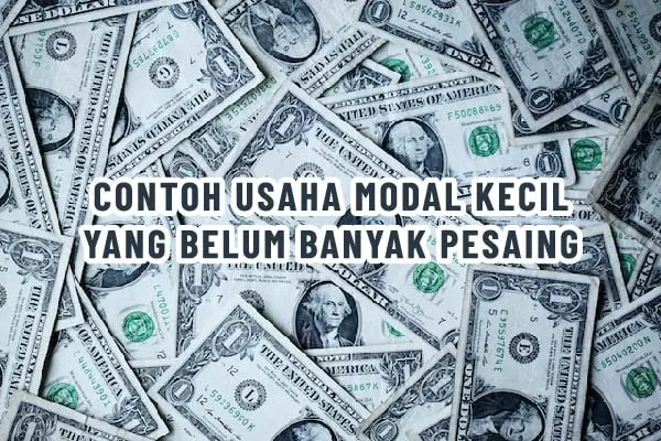 Ada banyak contoh usaha modal kecil yang belum banyak pesaing. Kira-kira apa saja? Simak usaha dengan modal kecil yang belum banyak pesaing sekarang!