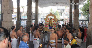 Sri Parthasarathy Swamy, Ekadasi, Ekadesi Purappadu, Triplicane,  Panguni,Purappadu, Thiruvallikeni, Utsavam