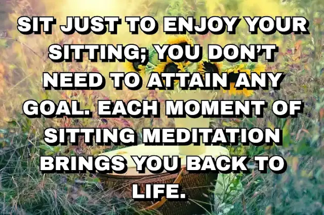 Sit just to enjoy your sitting; you don’t need to attain any goal. Each moment of sitting meditation brings you back to life.