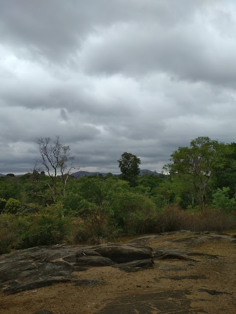 Cauvery Melagiri Hills Kenneth Anderson Eastern Ghats Western Ghats