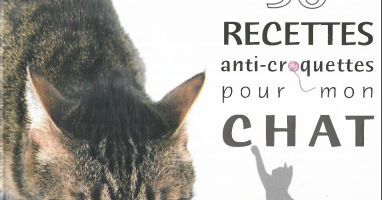 50 Recettes Anti Croquettes Pour Mon Chat Vetbookstore La Bibliotheque Des Livres Veterinaires