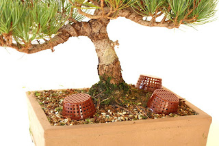  cestas para abono de bonsai