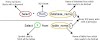SQL Syntax