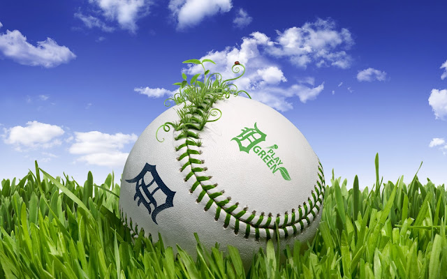grass, baseball, green wallpaper