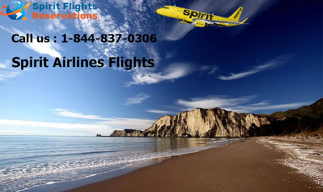 Spirit Airlines Flights