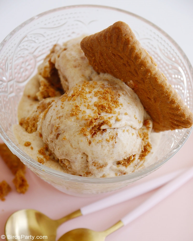 No-Churn 3-Ingredients Biscoff Cookie Ice Cream - quick and easy to make 3-ingredeints recipe, perfect summer dessert for any occasion or event! by BirdsParty.com @BirdsParty #icecream #Biscoff #speculoos #biscofficecream #nochurnicecream #easyicecream #summerdessert #icecreamrecipe