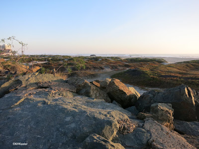 beach, Coronado Island, California