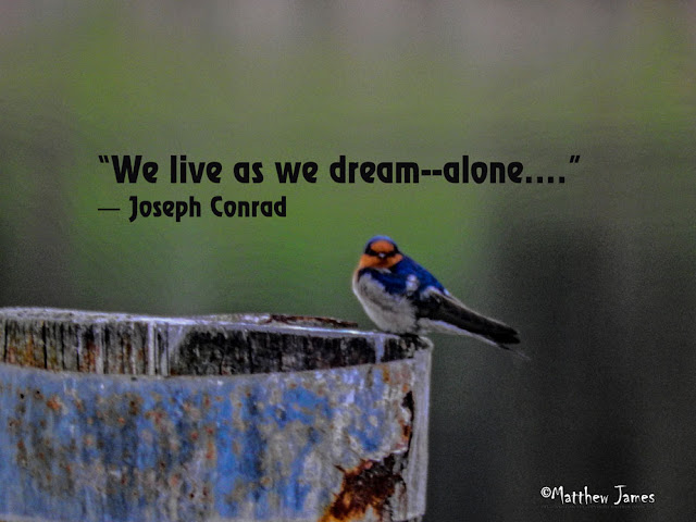 'We live as we dream ... alone' - Joseph Conrad