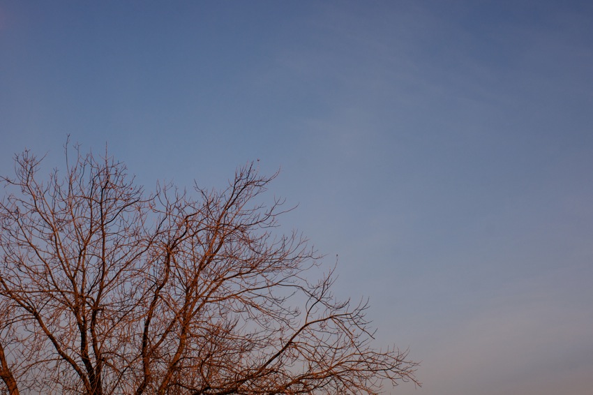 DSC07067  2011 11 11 at 05 54 59