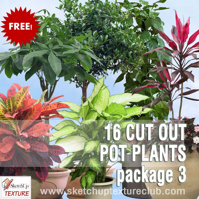 png pot plants collection 3 