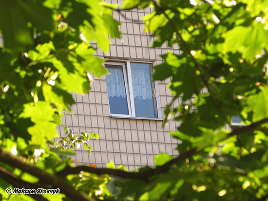 Фотограф Максим Яковчук: Дарницькі вікна (13 серпня 2020 року)
