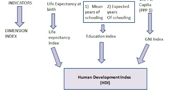 Human Development Index