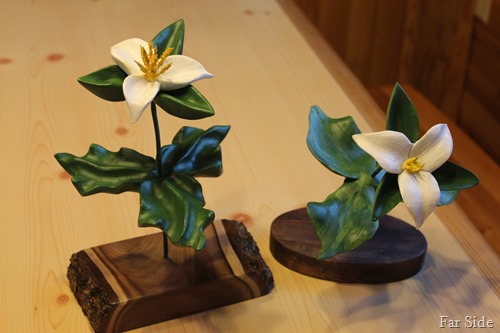 Trilliums Finished