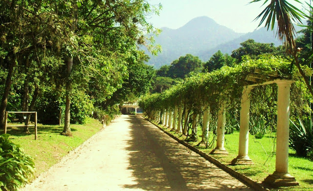  Rio De Janeiro Botanical Gardens