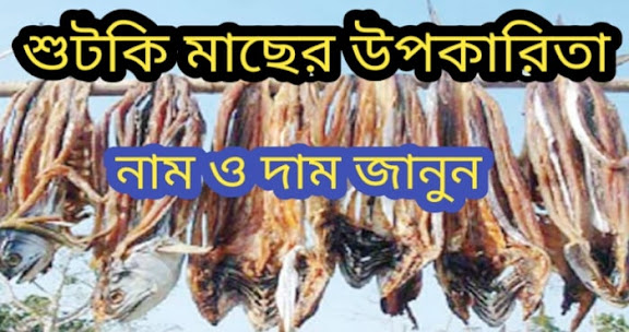 ছুরি শুটকি