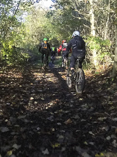 Mountain bike cycling, through the trees