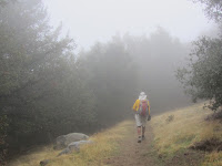 Nearing the summit of Mt. Wilson