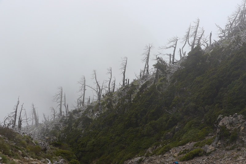 2013_0608-0611 雪山志佳陽下馬武霸億年僑_209