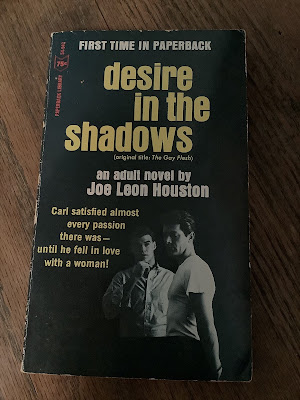 Two men stand together, yet apart on the book cover, with text that reads, First time in paperback.  Desire in the shadows (original title: the gay flesh), an adult novel by Joe Leon Houston.  Carl satisfied almost every passion there was until he fell in love with a woman!