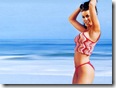 Carmen_Elec 1024x768) (2)