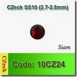 10CZ24 copy
