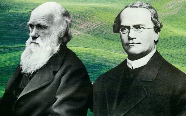 Mendel y Darwin: una relación enigmática