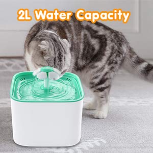 Cat Dog Water Filter Dispenser