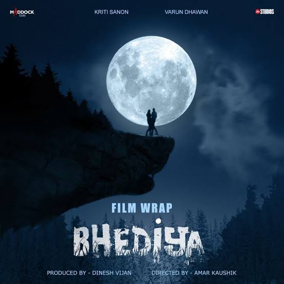 Bhediya Movie Budget, Box Office Collection, OTT Release, Hit or Flop