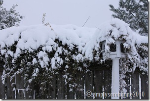Christmas20103rdSnow2010 143